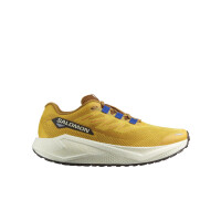 Buty męskie Salomon AERO BLAZE 3 GRVL L47974200 Żółte - Rozmiar 44