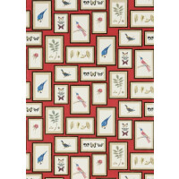 Tapeta botaniczne obrazy Sanderson 213398 Picture Gallery One Sixty