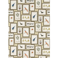 Tapeta botaniczne obrazy Sanderson 213399 Picture Gallery One Sixty