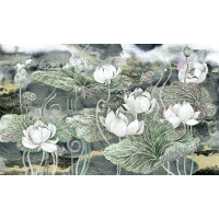 Fototapeta lilie wodne Wonderwall Cassiopeia 35072208
