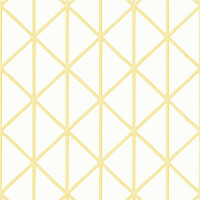 Tapeta geometryczna kratownica Thibaut T10136 Box Kite Tropics