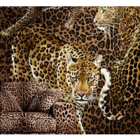 Mural lamparty i cętki Dolce & Gabbana TCW009 TCAI5 UL040 N.1