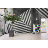 Fototapeta linie Rebel Walls R19408 Different Directions Black White Maximalism More is More