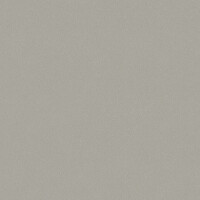 Tapeta jednokolorowa Sand Boras Tapeter Space Sand 7572 Pigment