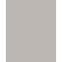Tapeta jednokolorowa Boras Tapeter Stone Grey 7543 Pigment