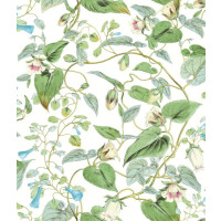 Tapeta kwiatowe pnącza York Wallcoverings BL1711 Moon Flower Blooms II