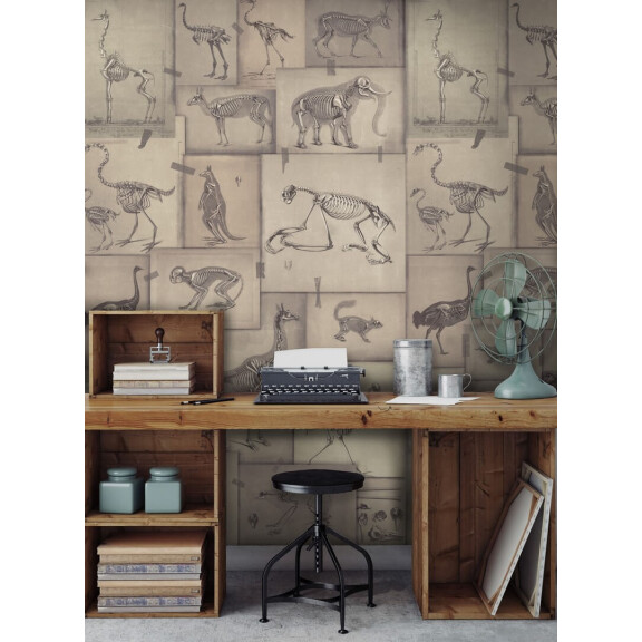Mural szkielety zwierząt Mind the Gap ZOOARCHELOGY WP20236 Premium Designer Wallpaper Collection