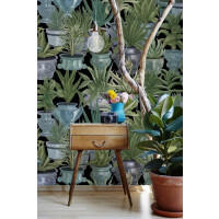 Mural sukulenty w doniczkach Mind the Gap ECHEVERIA WP20163 Premium Designer Wallpaper Collection