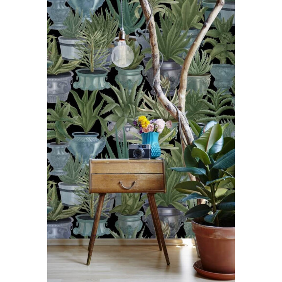 Mural sukulenty w doniczkach Mind the Gap ECHEVERIA WP20163 Premium Designer Wallpaper Collection