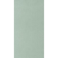 Tapeta teksturowana Caselio WILD 104997134 Uni Mat Stay Wild