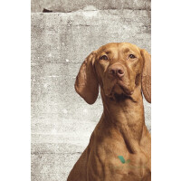 Fototapeta Eijffinger 364124 Wallpower Junior