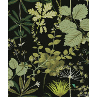 Tapeta botaniczna OLI002 Herbario Khroma Olivia
