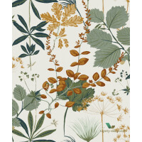 Tapeta botaniczna OLI003 Herbario Khroma Olivia