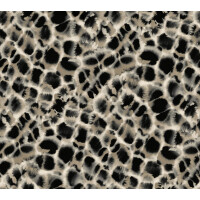 Tapeta Cętki York HO2162 Leopard Rosettes Ronald Redding Traveler