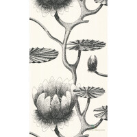 Tapeta Cole & Son Contemporary Restyled Lily 95/4020