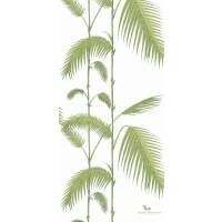Tapeta Cole & Son Contemporary Restyled Palm Leaves 95/1009