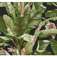 Tapeta Liście Bananowca York AT7071 Banana Leaf Tropics Resource Library