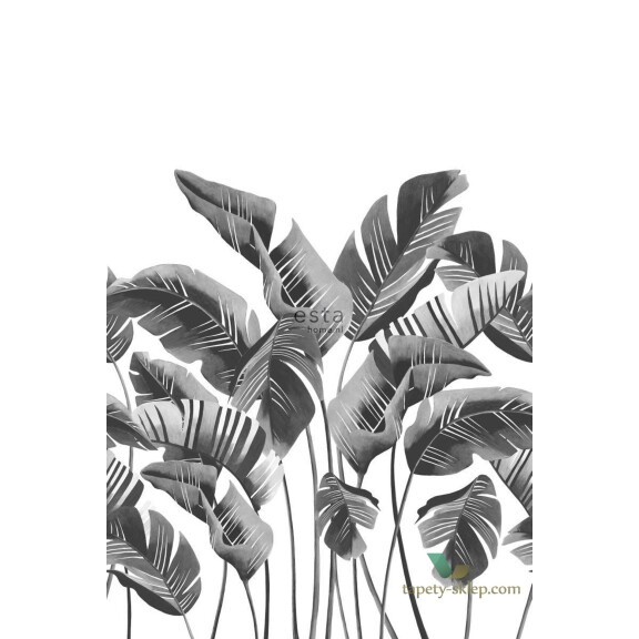 Mural Esta 158907 Scandi Cool