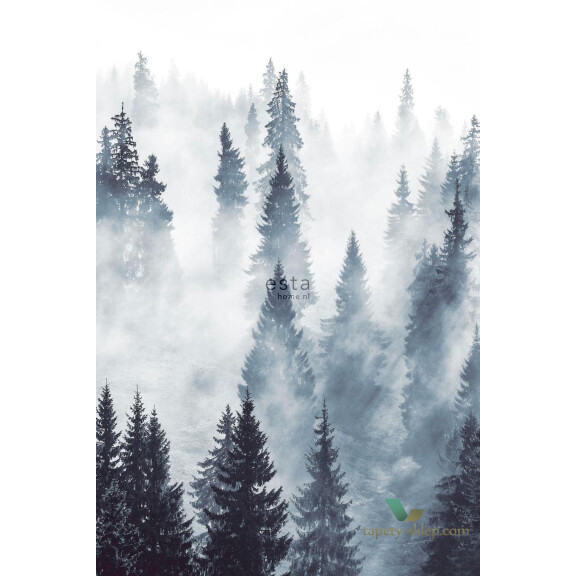 Mural Esta 158909 Scandi Cool