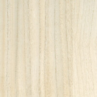Tapeta Fornir CMO Paris Bois Blanc WBO 01 01 Wood Wallcovering