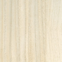 Tapeta Fornir CMO Paris Bois Blanc WBO 01 01 Wood Wallcovering