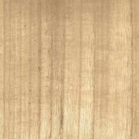 Tapeta Fornir CMO Paris Bois Blond WBO 01 20 Wood Wallcovering