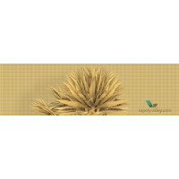 Fototapeta Wall&Deco Breeze WDBR1702 Contemporary 2017