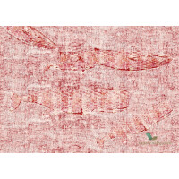 Fototapeta Wall&Deco La vie marine WDVM1602 Contemporary 2016