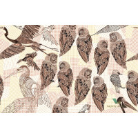 Fototapeta Wall&Deco Pencil birds WDPB1602 Contemporary 2016
