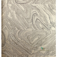 Tapeta CW6000-04 O&L Wallpaper Album 6
