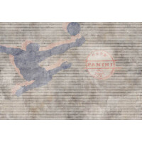 Fototapeta Futbol Tecnografica 78957-2 ROVESCIATA POP MUD Panini
