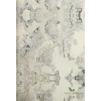 Tapeta Candice Olson NA0593 Botanical Dreams