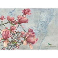 Fototapeta Tecnografica 75776-1 Cristina Iotti: Magnolia in bloom Art Collection