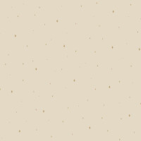 Tapeta w gwiazdki Caselio FRT102961121 Under The Stars La Foret