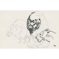 Fototapeta zwierzęta 75761-1 Bestiario WHITE Andrea Pazienza