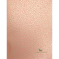 Tapeta W6651-01 Samana Osborne & Little