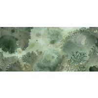 Tapeta pod prysznic w koralowce Wall&Deco WET_MU2102 Mufarina WET SYSTEM 2021