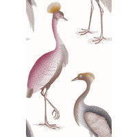 Tapeta czaple Gastón y Daniela GDW-5773-007 Garzas Serendipia
