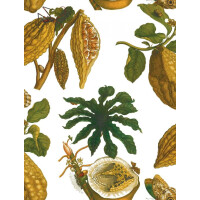 Tapeta egzotyczna Gastón y Daniela GDW-5111-001 AMAZONIA Origen Dos