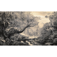 Fototapeta krajobraz dżungli Wonderwall Artemis 35056002