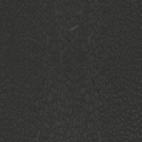 Tapeta cętki pantery Roberto Cavalli RC21044 Home NO. 9 - 106 cm szer.