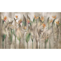 Fototapeta kwiaty strelicji Wall & More STERLICIA 2471 21A