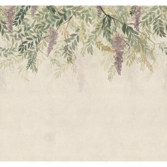 Fototapeta roślinna akwarela Sandberg S10657 Wisteria Green Tradgarden