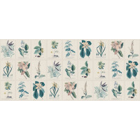 Fototapeta botaniczna vintage Sandberg S10589 Flora Blue Herbarium