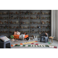 Fototapeta Rebel Walls R14184 Cabinet of Curios Night