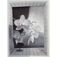 Tapeta Wall&Deco WDLY2001 Lyric