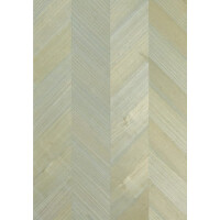 Tapeta Thibaut T4022 Inyo Wood Surface Resource