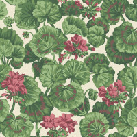 Tapeta Kwiaty Pelargonii Cole&Son Geranium 117/11034 Sevilla