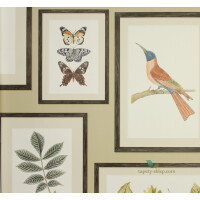 Tapeta botaniczna ramki 213399 Sanderson Voyage of Discovery