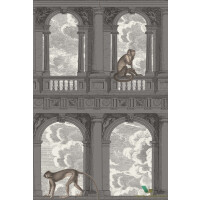 Tapeta Małpy I Architektura Cole & Son Procuratie con Vista 114/8016 Fornasetti